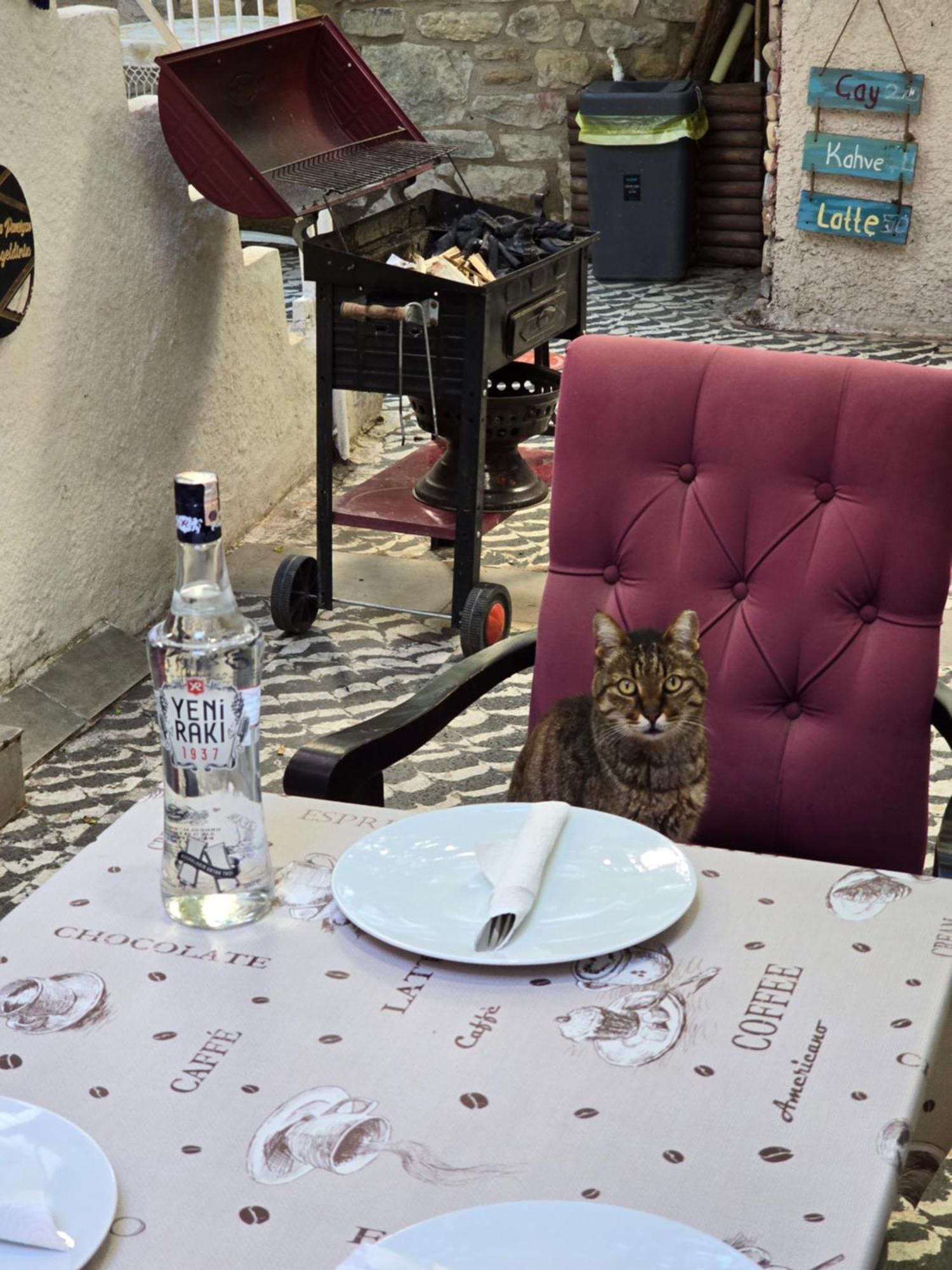 Lavinya Kuşadası